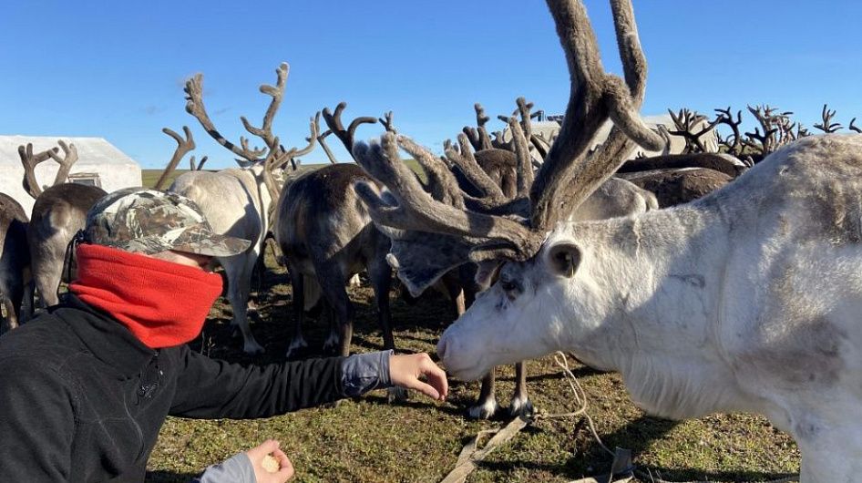 В рамках ММКФ покажут фильмы-победители конкурса «Россия — взгляд в будущее»